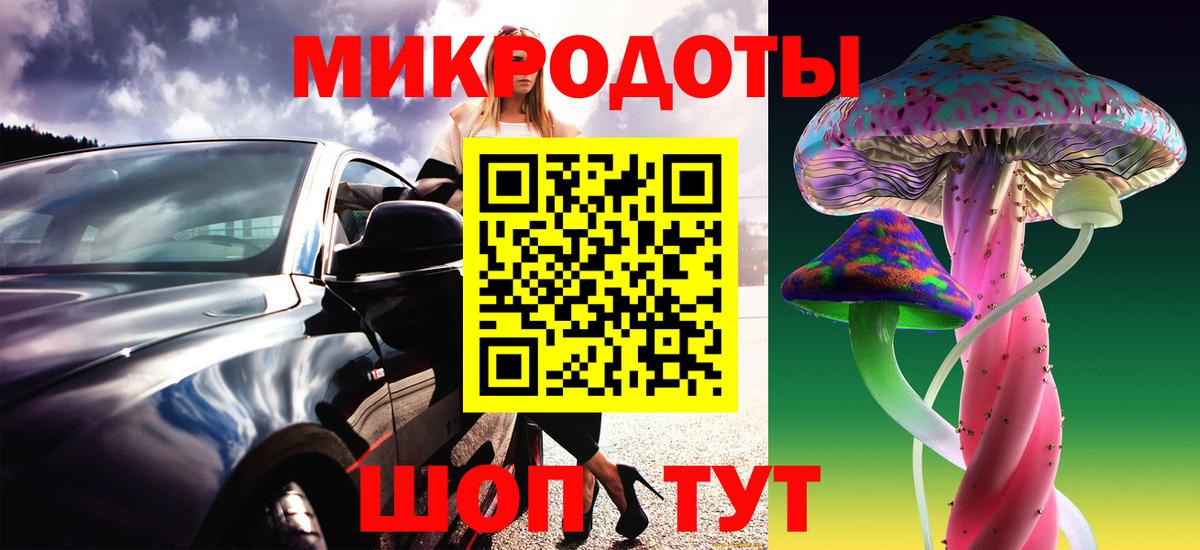 Псилоцибиновые грибы мицелий Сафоново