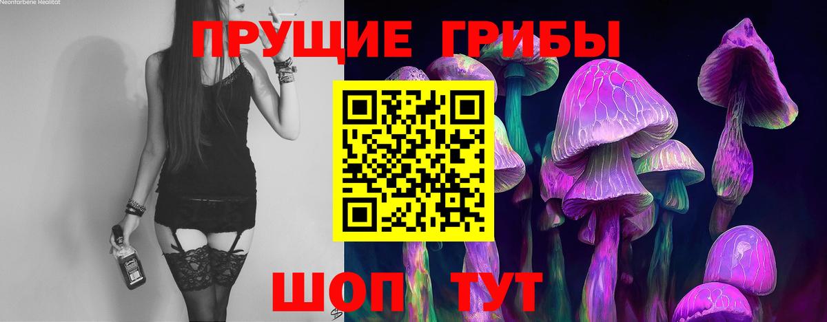 Псилоцибиновые грибы ЛСД  Вход с VPN  Сафоново  закладки  Галлюциногенные грибы Psilocybine cubensis 